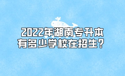 2022年湖南专升本有多少学校在招生？.jpeg